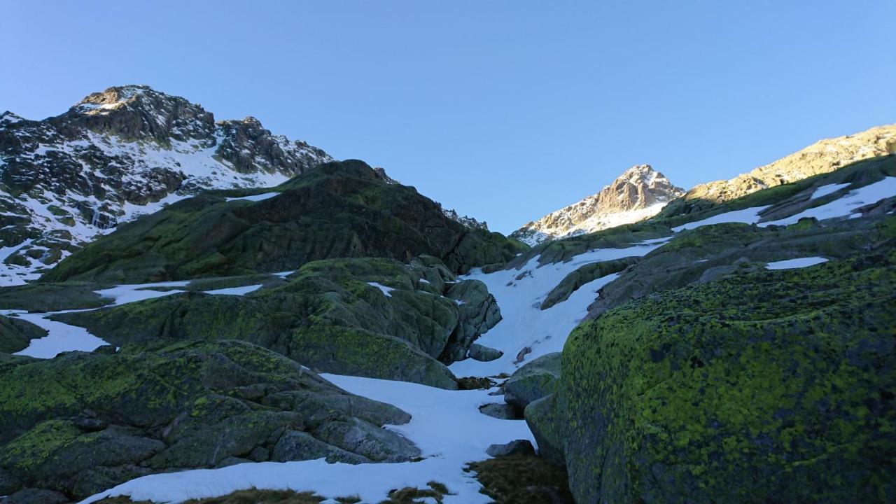 Cara Norte De Gredos Hoyos del Espino Exteriör bild