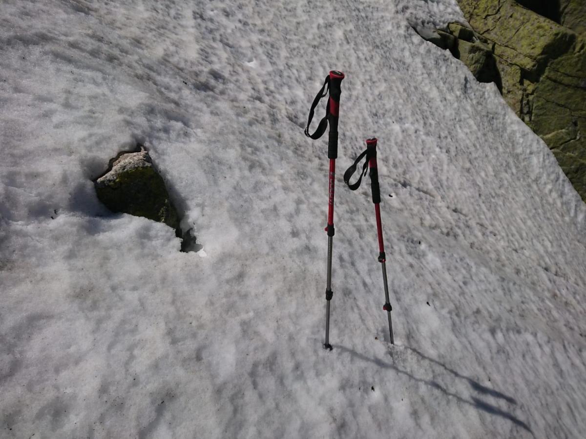 Cara Norte De Gredos Hoyos del Espino Exteriör bild