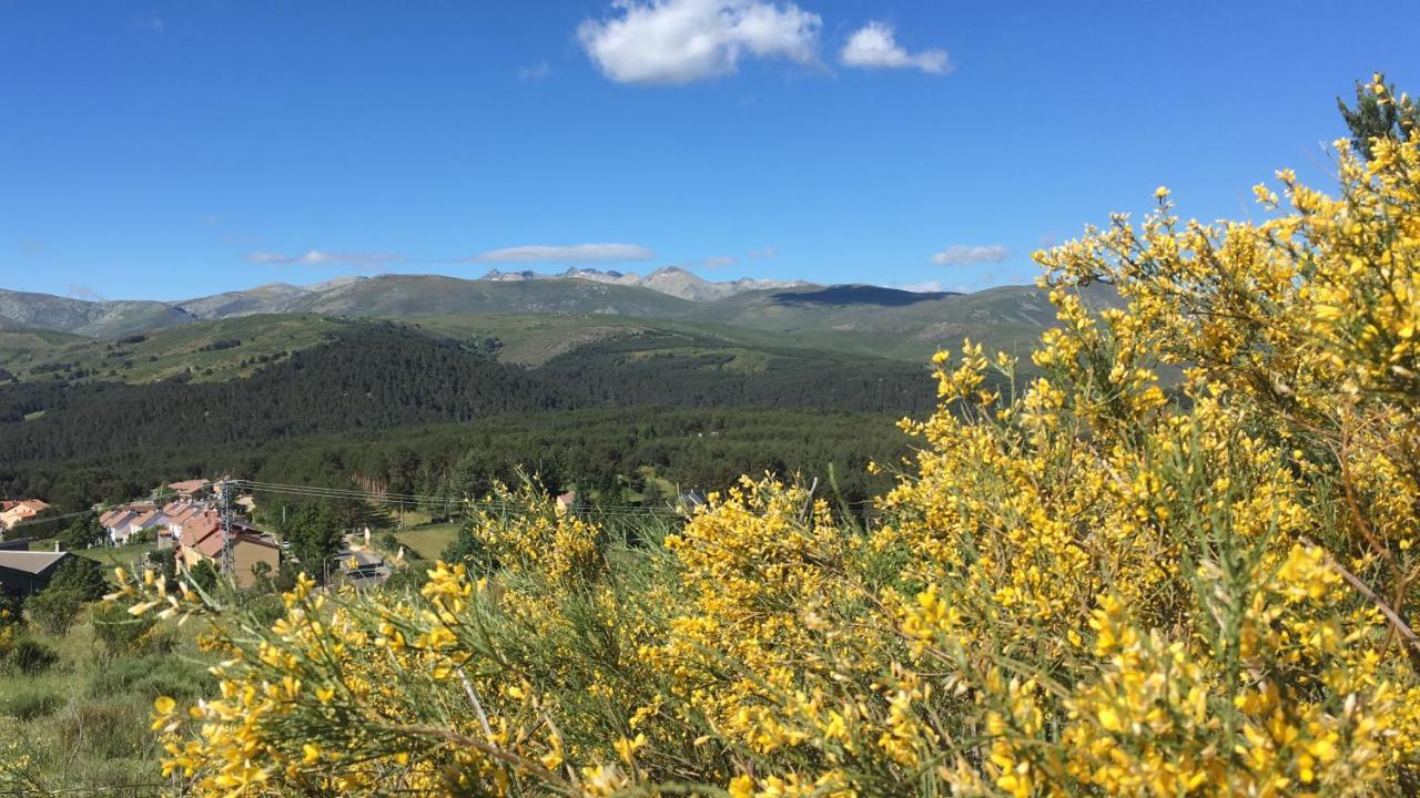 Cara Norte De Gredos Hoyos del Espino Exteriör bild