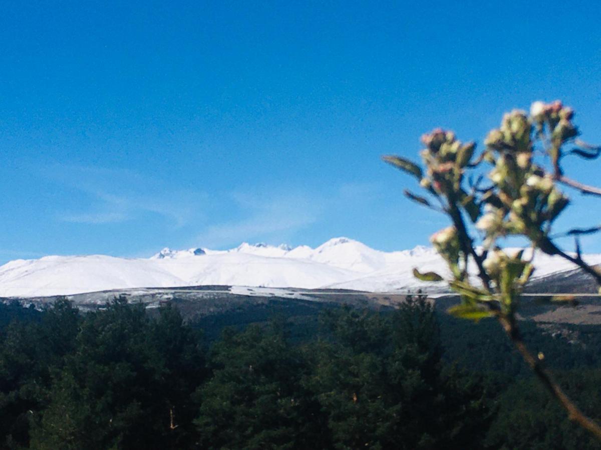 Cara Norte De Gredos Hoyos del Espino Exteriör bild